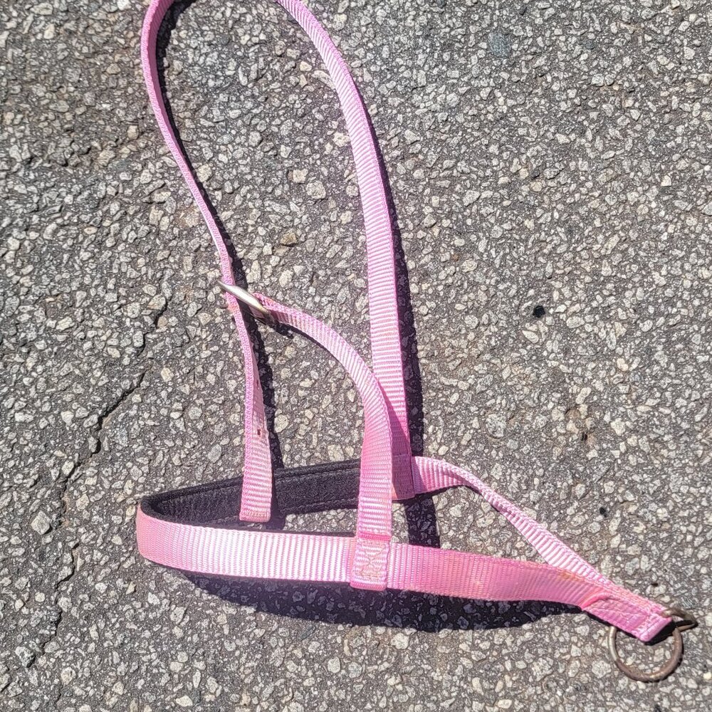 Western Bridle Nose Band for Tie Down Pink